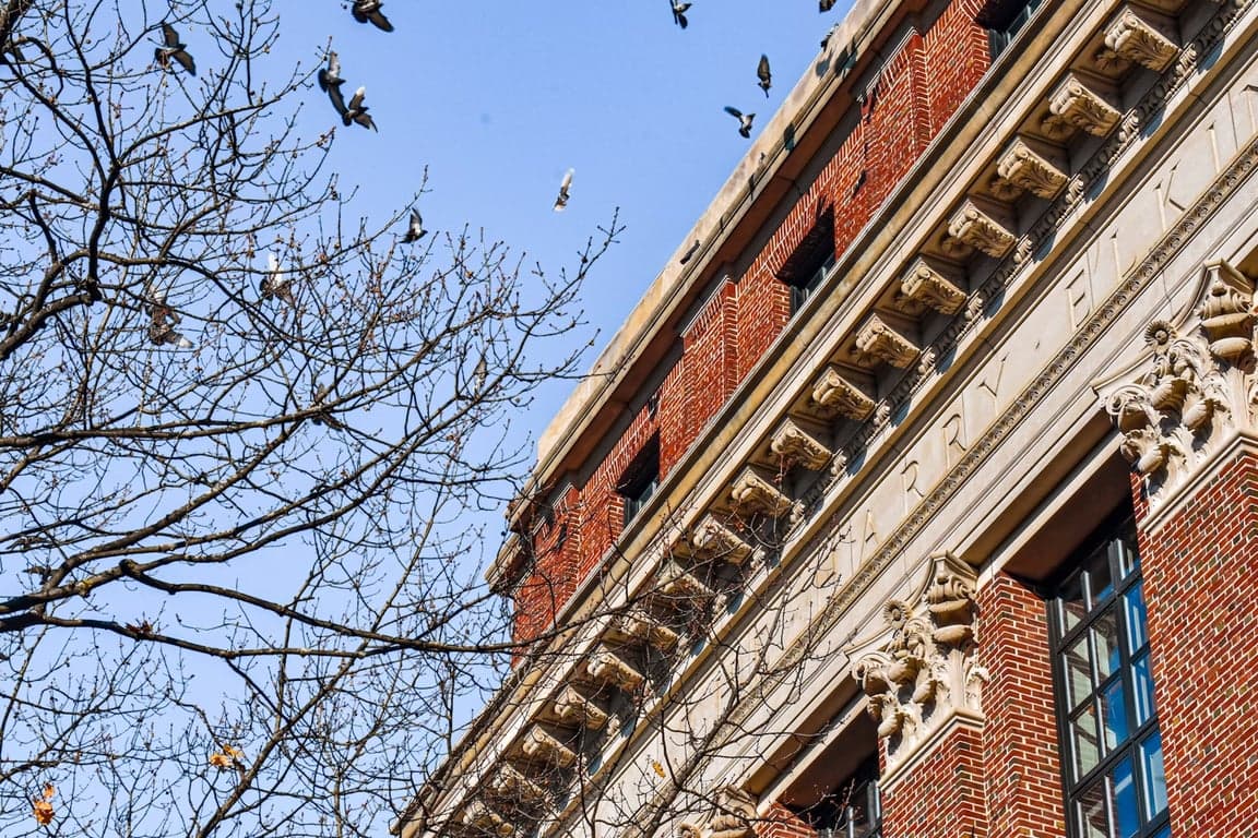 Creating Data Pipelines in Python with Generators and Coroutines